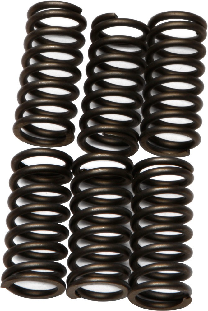 EBC Clutch Spring Set CSK80