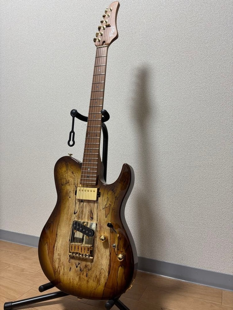 FUJIGEN Expert ILIAD EIL-EW1-HS-RMHCB Safe Packing!