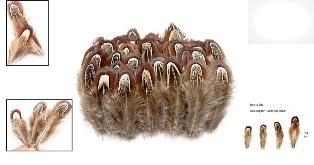 100 pcs Eco-Friendly Pheasant Feathers 2-3 inch for Crafting & Decorating