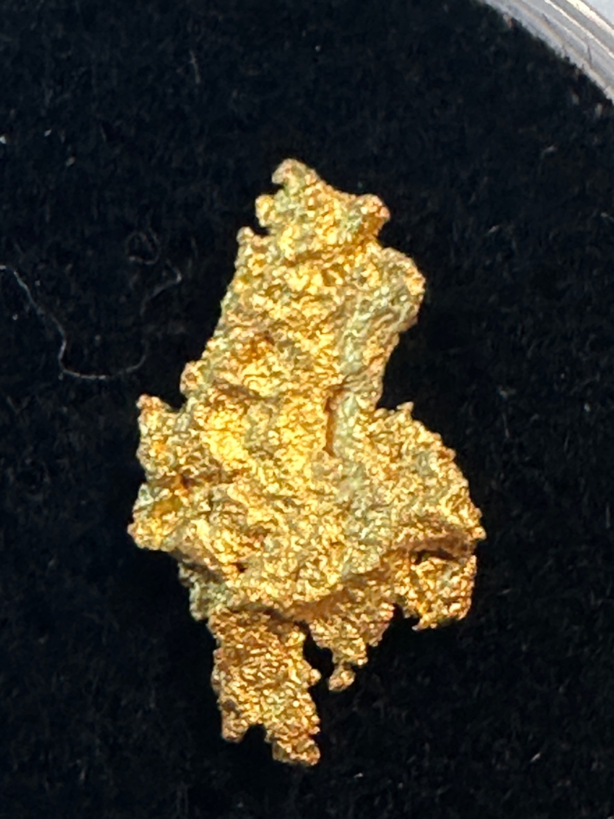 CALIFORNIA PLACER GOLD NUGGET = natural SPECIMEN.  1.0 gram