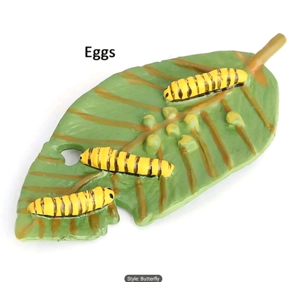Butterfly Life Cycle Model Kit Educational Teaching Tools Learning Aids 4 Pcs