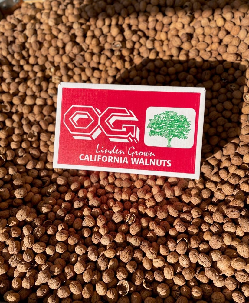 2024 Fresh Crop Shelled Walnuts - 5 lbs