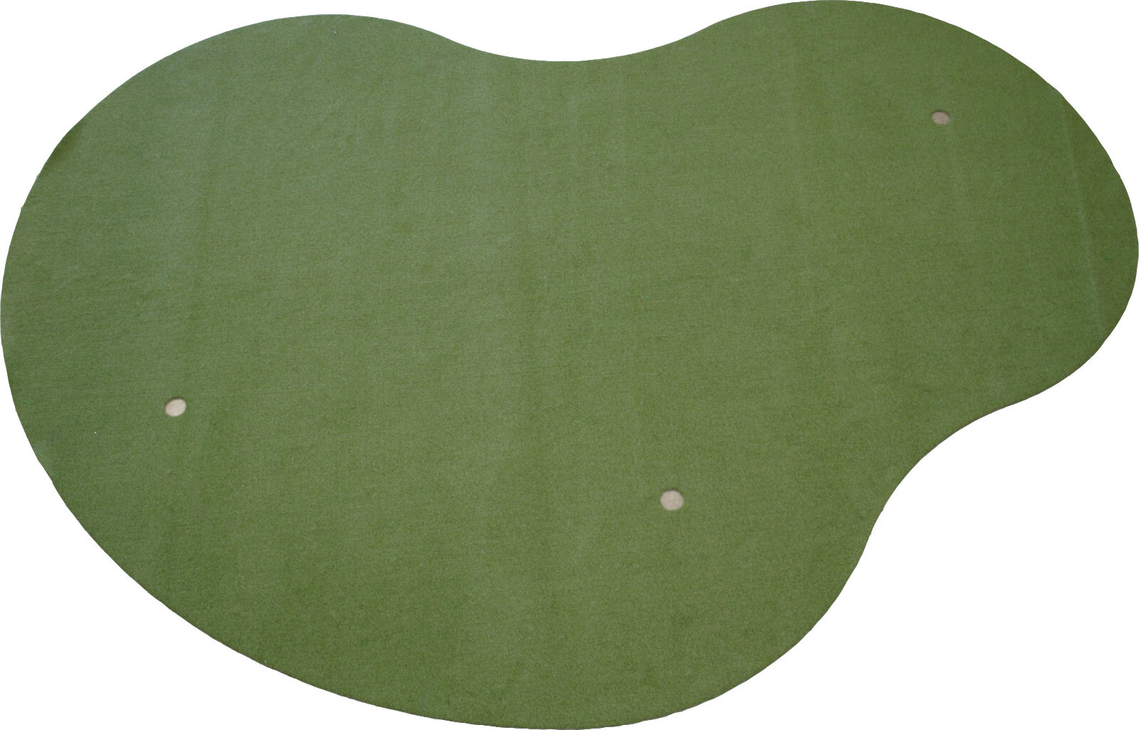 15' x25' SyntheticTurf Backyard Grass Practice Putting Golf Green Indoor Outdoor