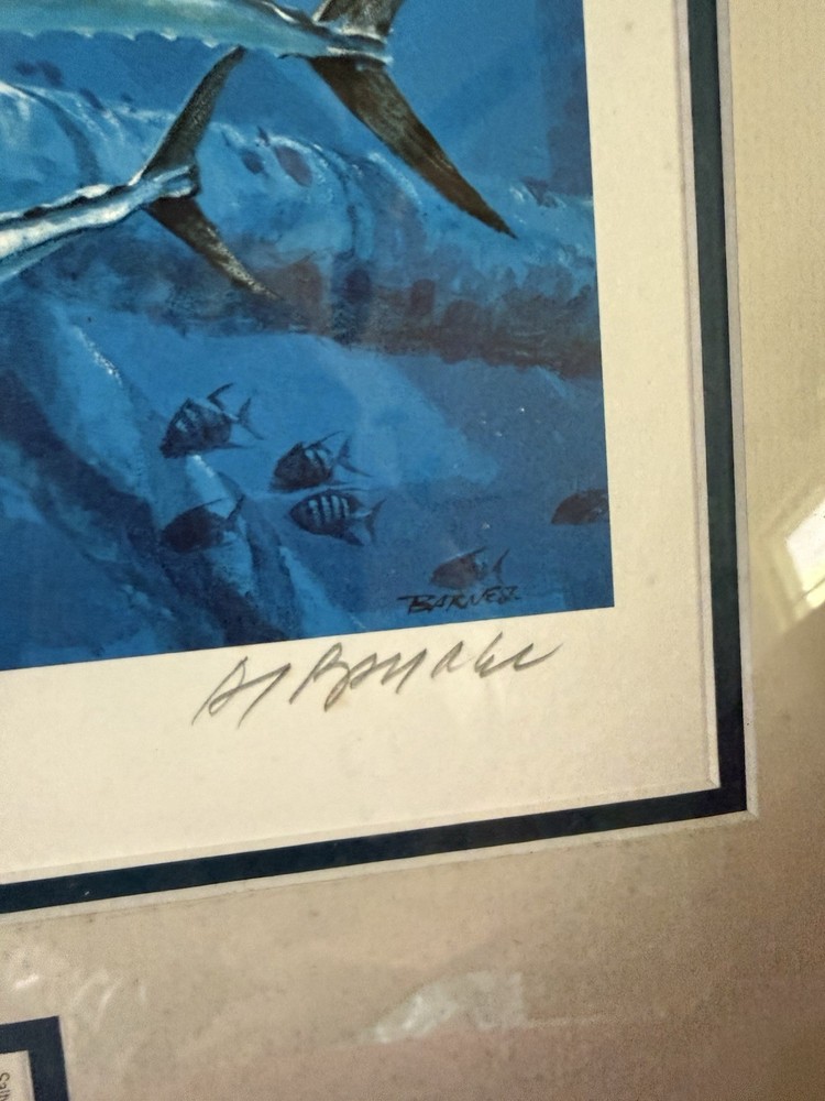 Texas Saltwater Stamp 1993