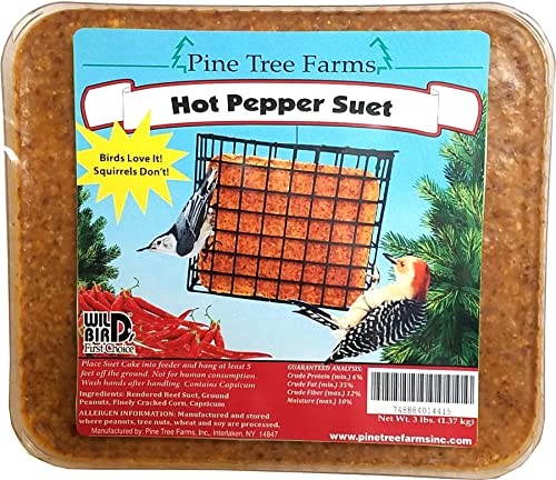 Pine Tree 1441 Hot Pepper Suet Cake, 3-Pound