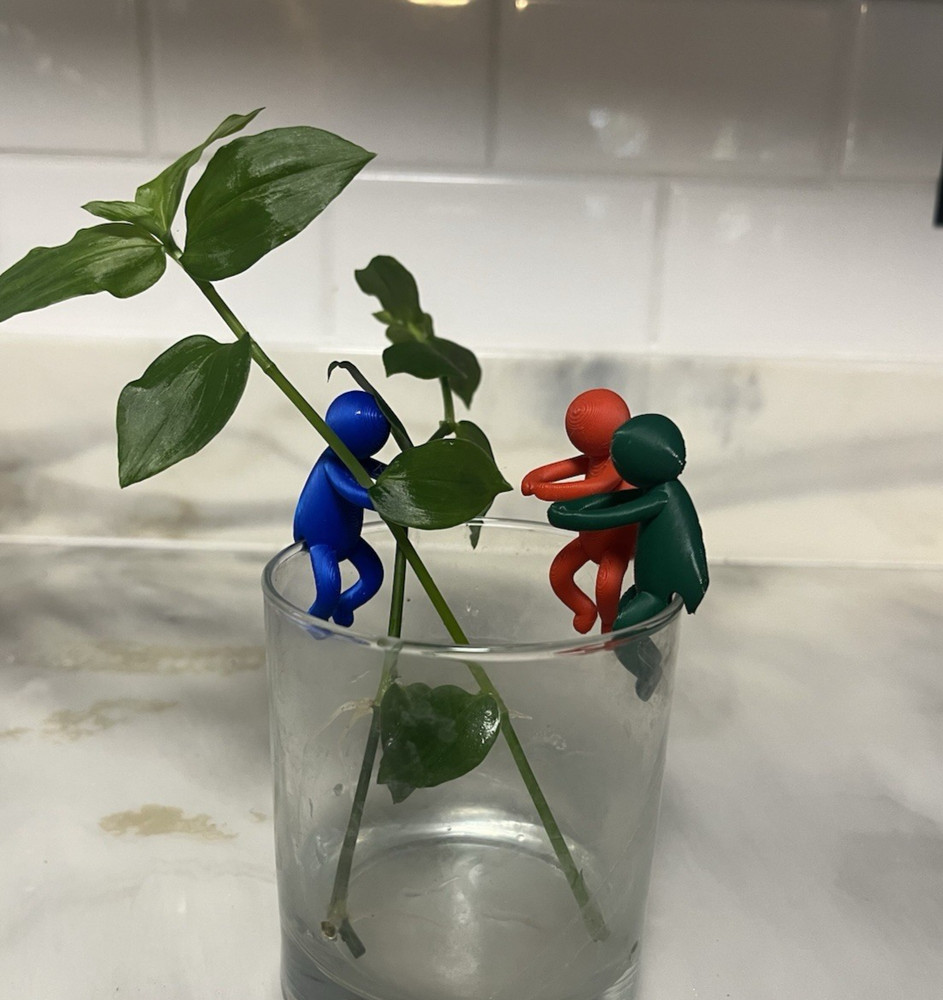 Propagation Buddy 3 Pack | Plant Cutting Stabilizer | Increase Root Growth