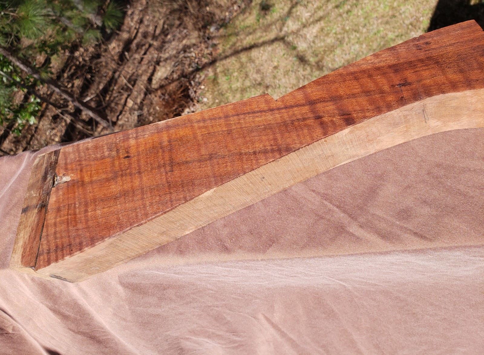 🔥 HIGHLY FIGURED CURLY TIGER CLARO WALNUT MUZZLELOADER RIFLE HAWKEN STOCK Blank