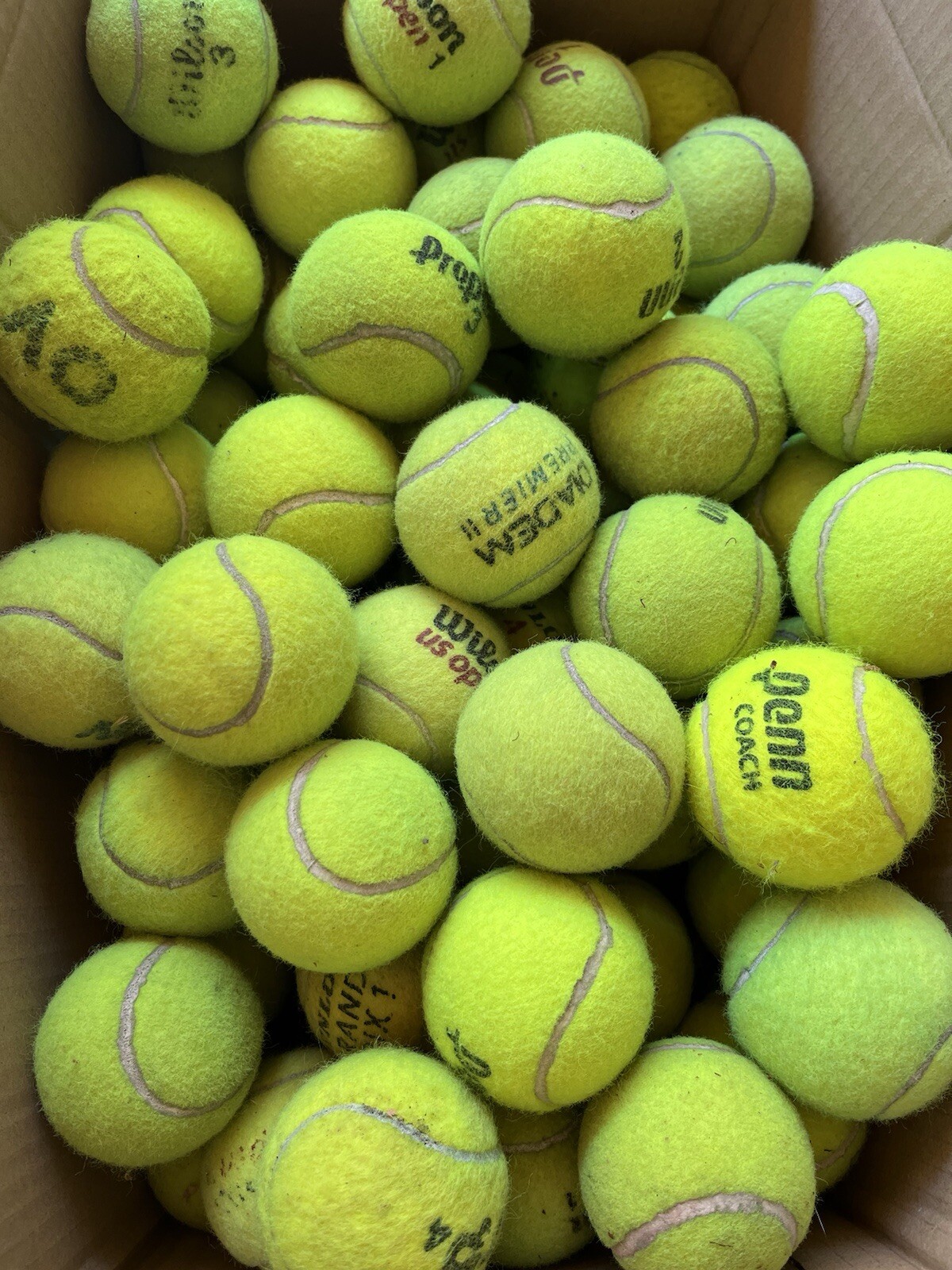 10 of Good Grade used Tennis Balls from Wilson, Dunlop, Penn, Head, etc Dog Toys