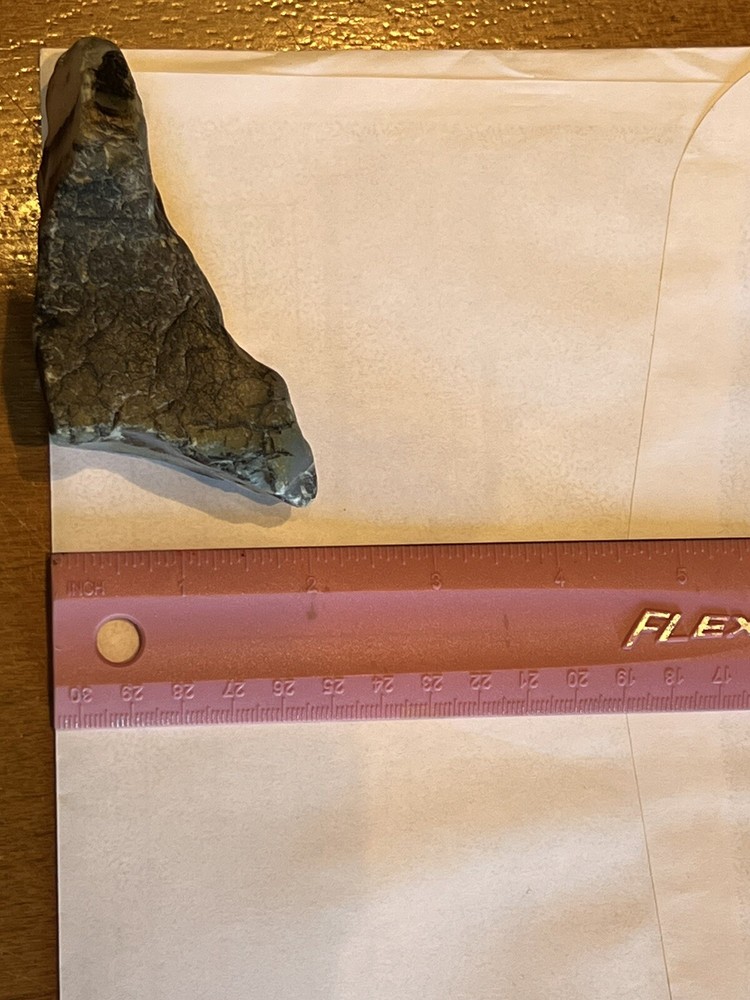 Montana Moss Agate Super High Grade