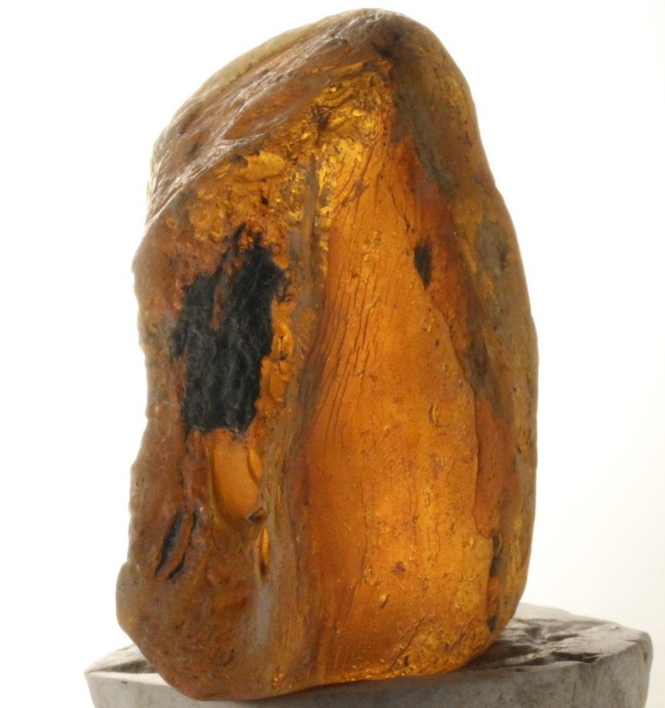 ++ DANDY! Mexican Amber Raw 72g ++
