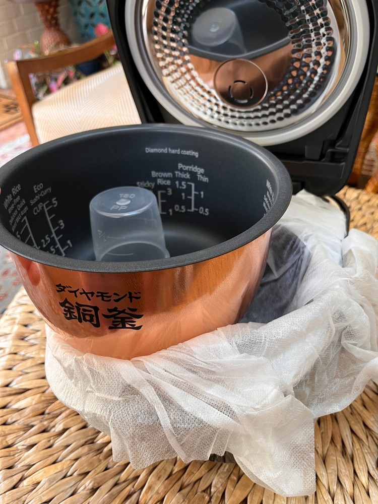 NEW panasonic sr-hz106 + 1 extra copper bowl