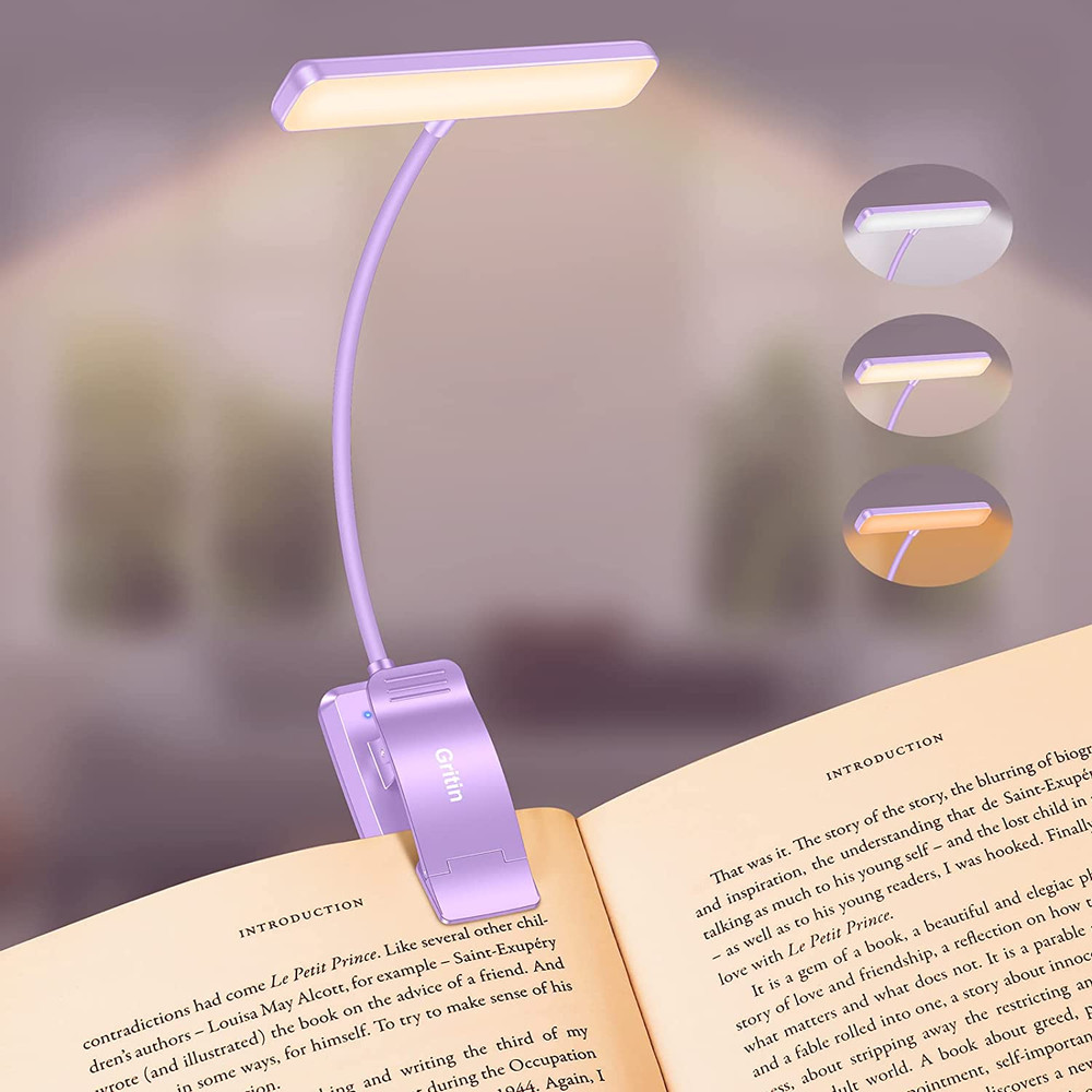 19 LED Rechargeable Book Light for Reading in Bed with Memory Function- Eye C...