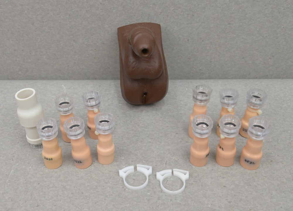 Laerdal Catheterization and Enema Task Trainer Accessories
