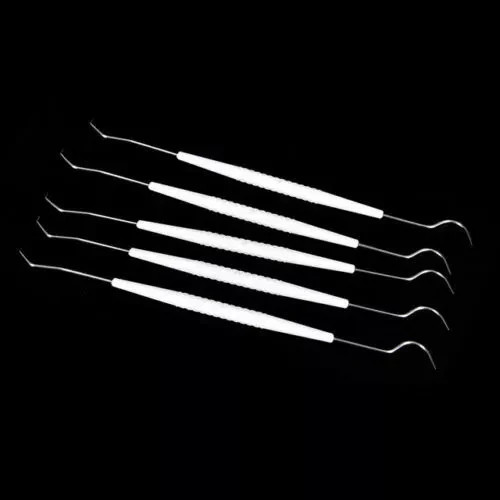 10 Pcs Dental Teeth Explorer Double End Instrument Probe Hook Basic Instruments