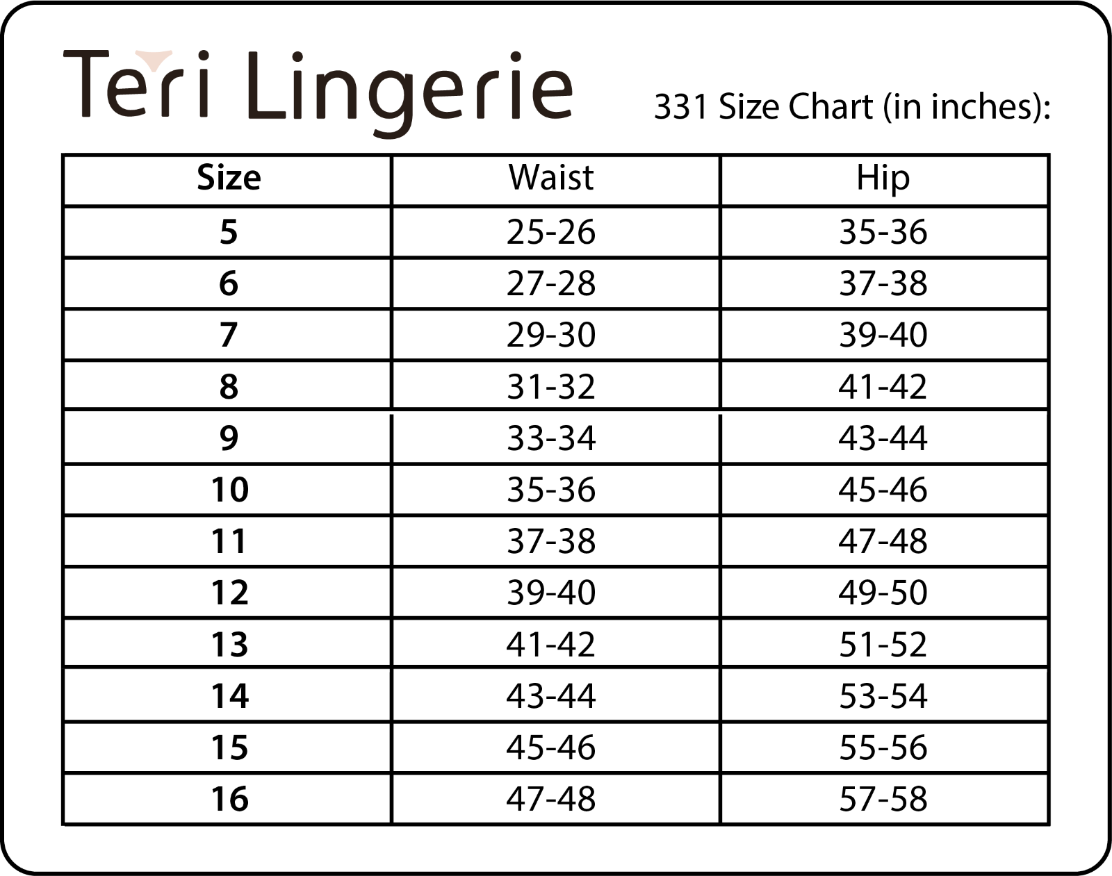 Women's Classic, Nylon, Full Coverage Brief Panty 4 Pack by Teri Lingerie