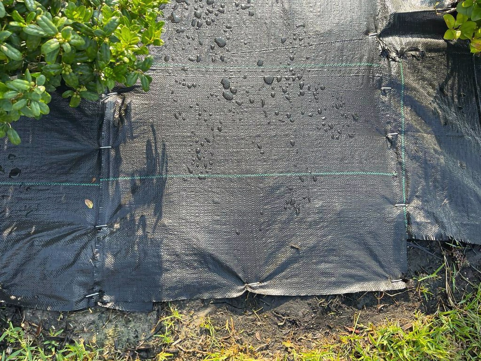 Heavy Duty Landscape Fabric 3.5 oz, Weed Barrier Garden Mat, Different Sizes