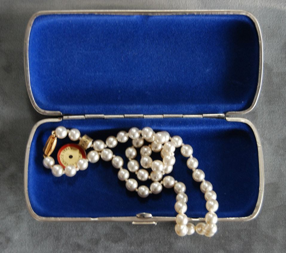 Eyeglass / Travel Case: Jena