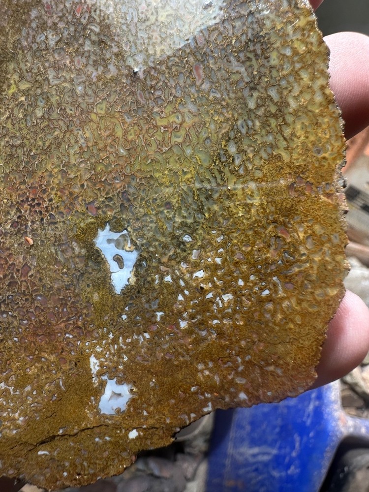 Dinosaur bone rough **hxtled slab.