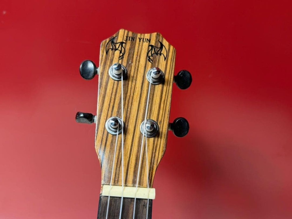 JINYUN striped pattern concert ukulele used
