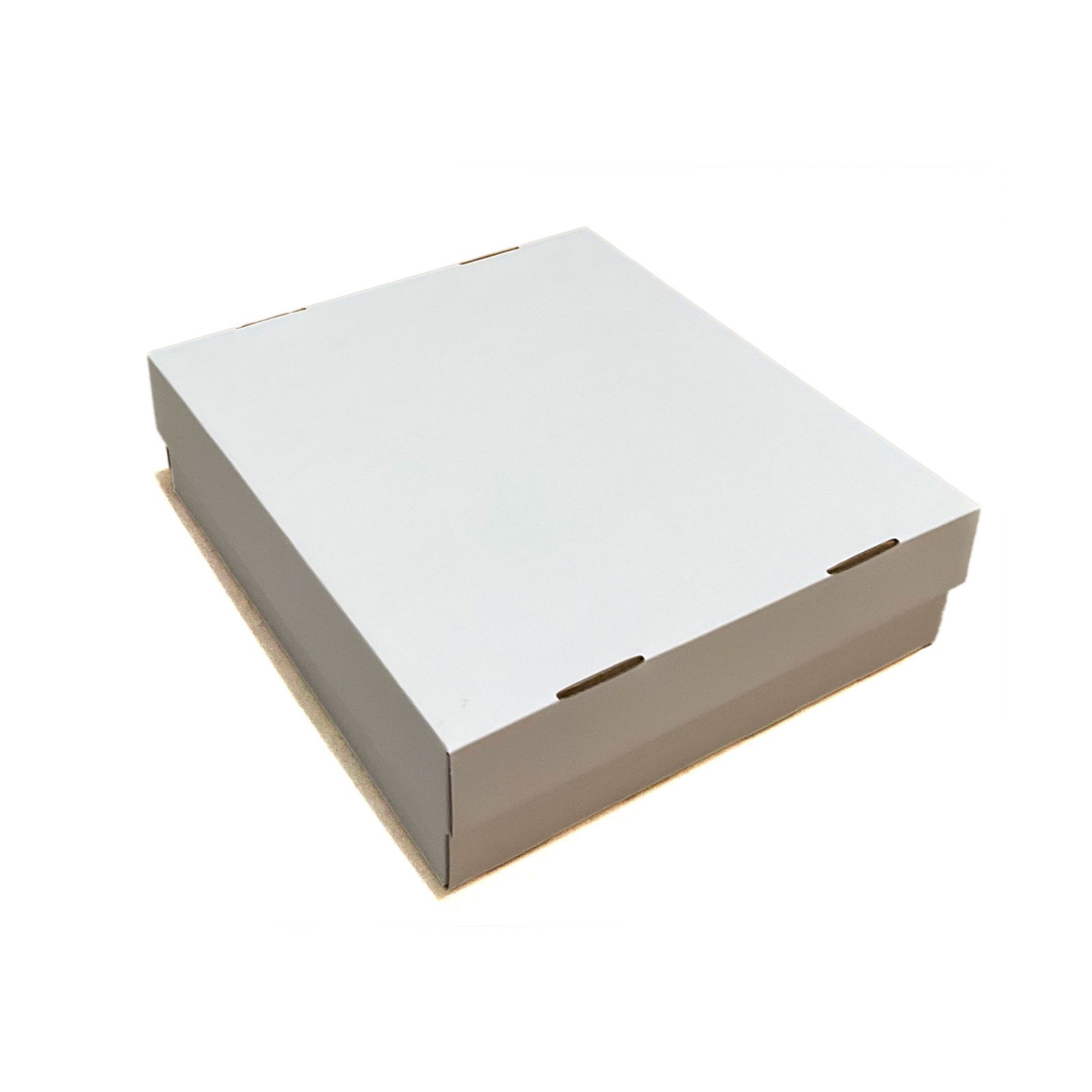 Trading Card Storage Box Holds 3000 Cards Sports Pokemon MTG YuGiOh TCG Bulk