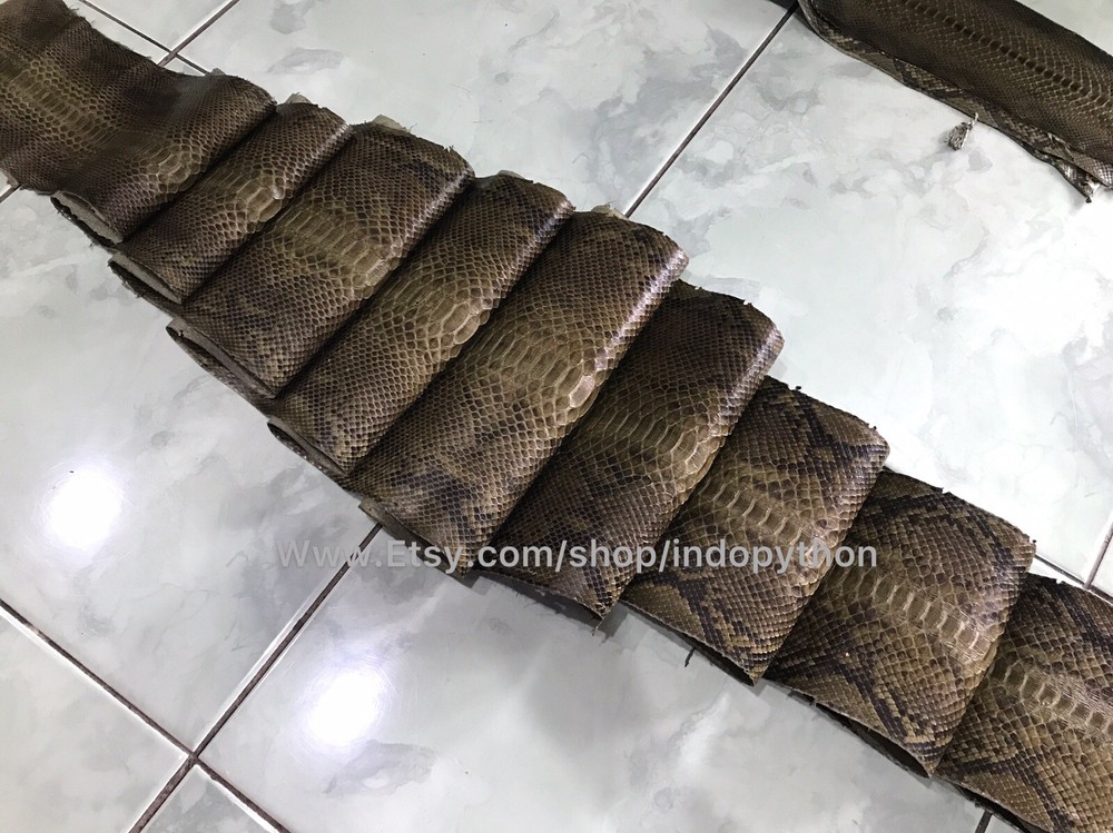 Genuine Python Leather, Exotic Snake Skin, Green SnakeSkin, Green Python Leather