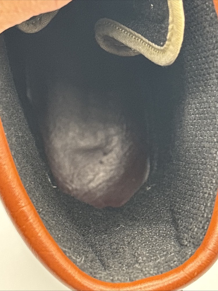 Cabelas Master Guide Mens Boots Sizs Us 10