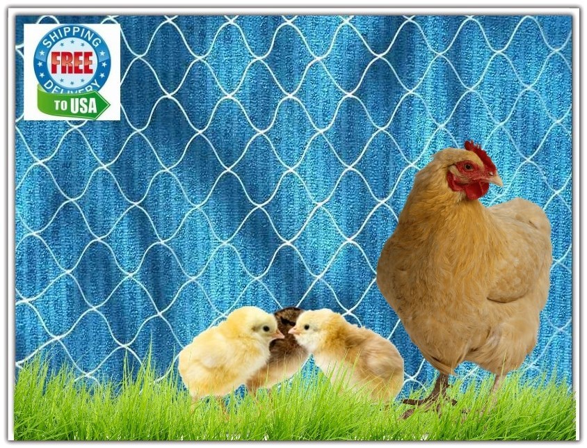 4 ft Plant, Garden, Chicken, Protective Nylon Netting