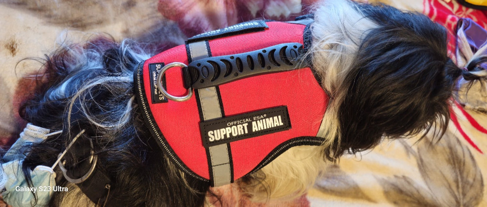 ESA SUPPORT ANIMAL
