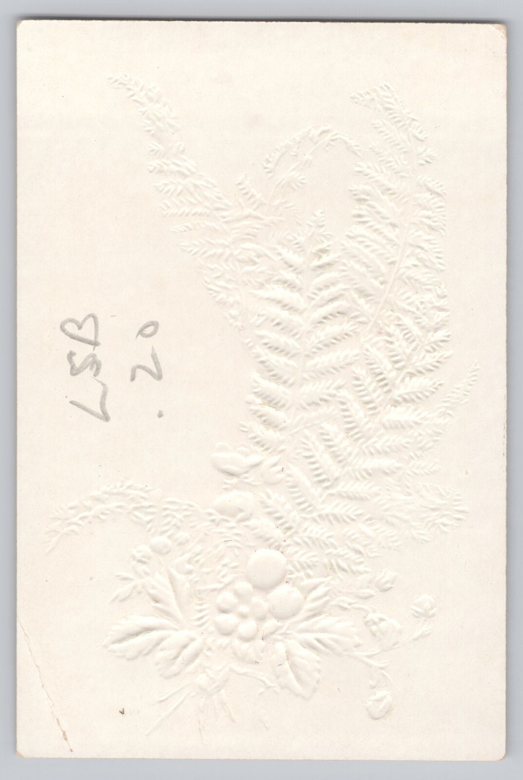 Victorian Card Lovely Fern & Flowers Embossed