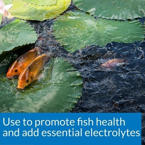 Api Pond Salt Pond Water Salt 4.4-Pound Container