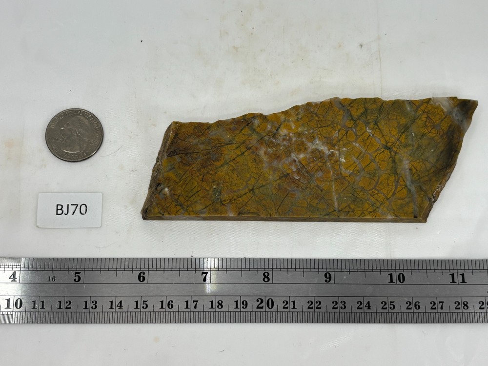 Brecciated Jasper Slab Cabbing Lapidary Combo Ship Available