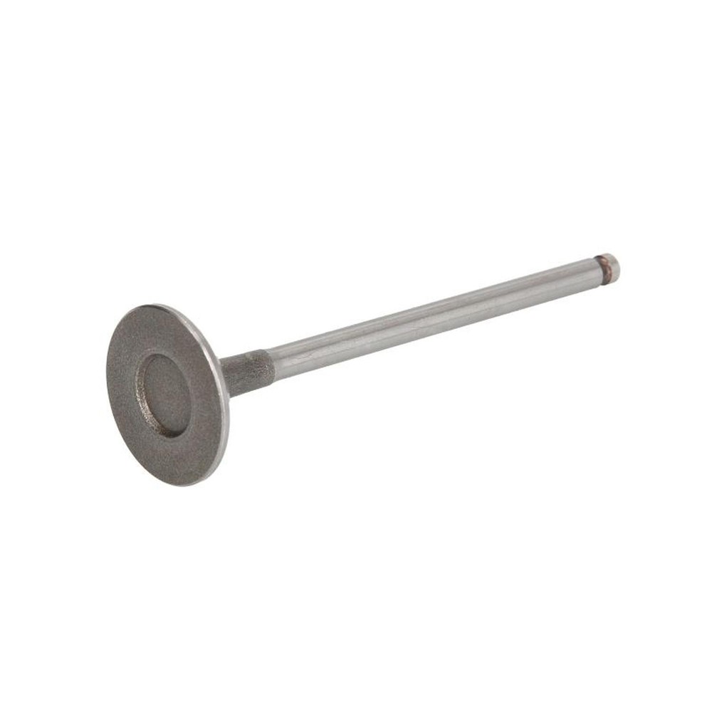 FITS FRECCIA 6952 S INTAKE VALVE OE REPLACEMENT