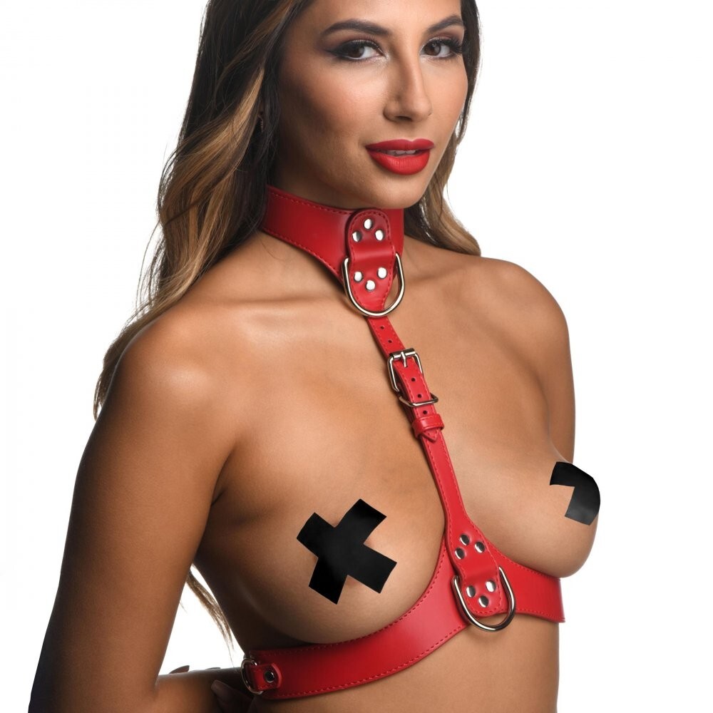 Red Female Chest Harness- Small/Medium - Medium/Large - FREE SHIPPING!!!