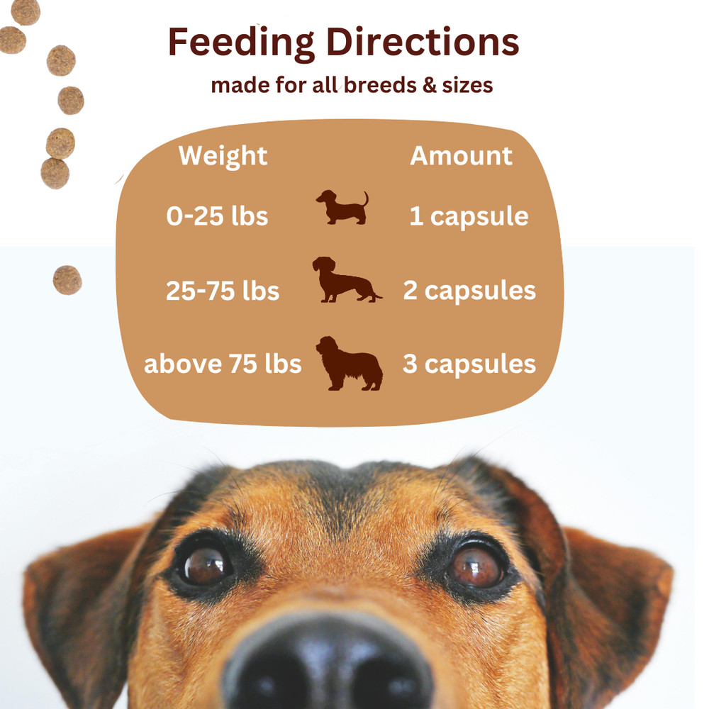 Bladder Support for Pets | 100 Capsules