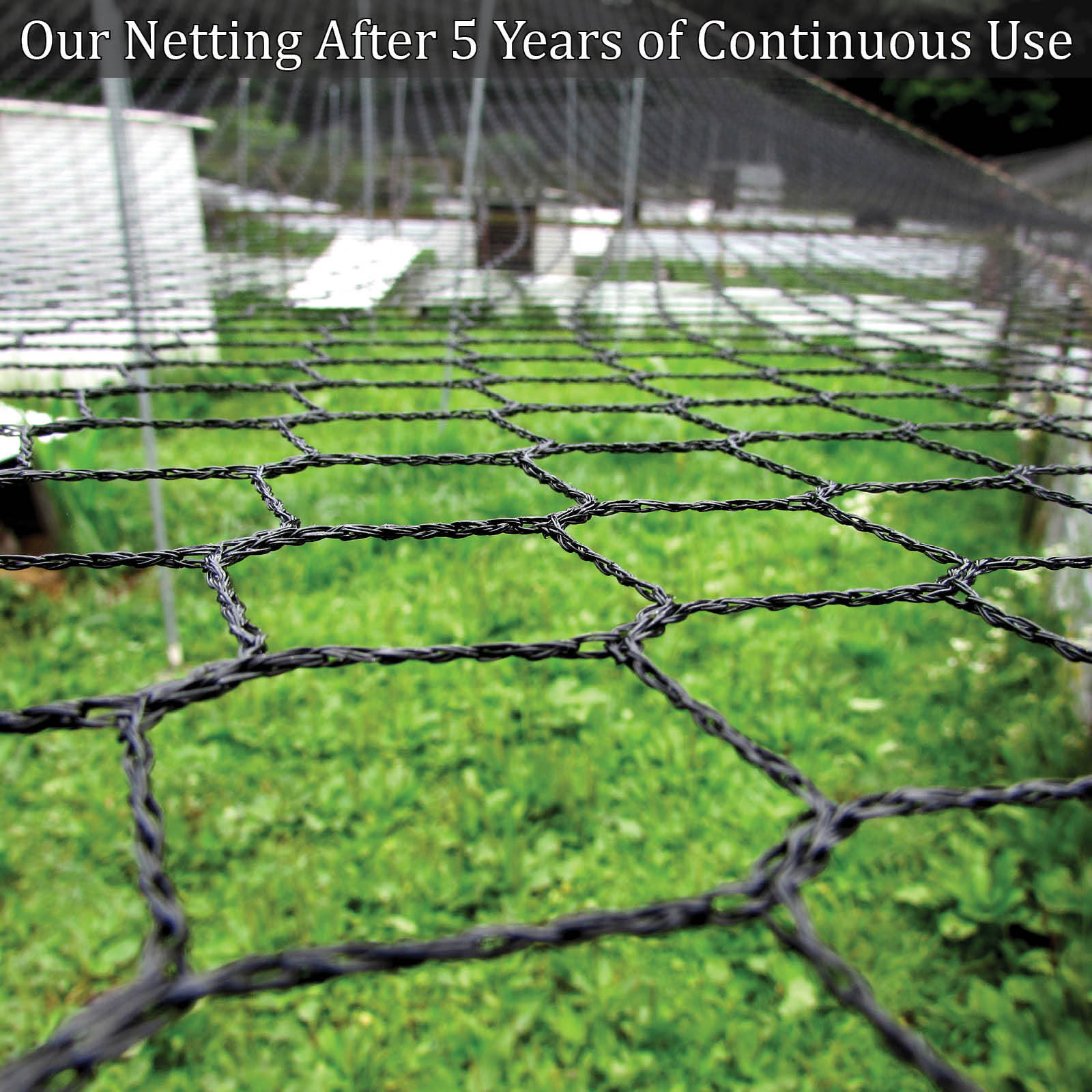 Netting Light Knitted Nets - Poultry Anti Bird Garden - 8 to 10 Year Lifespan!