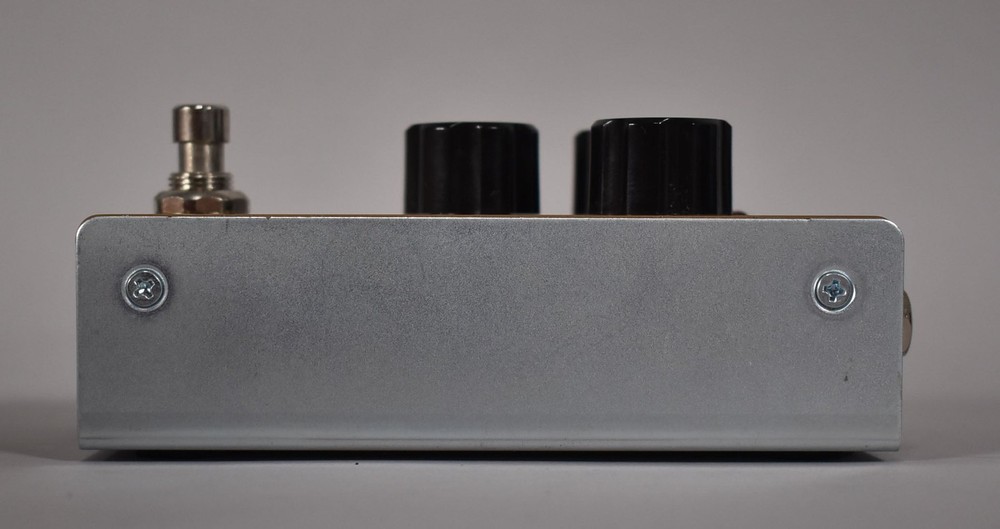 TC Electronic Echobrain Analog Delay Pedal