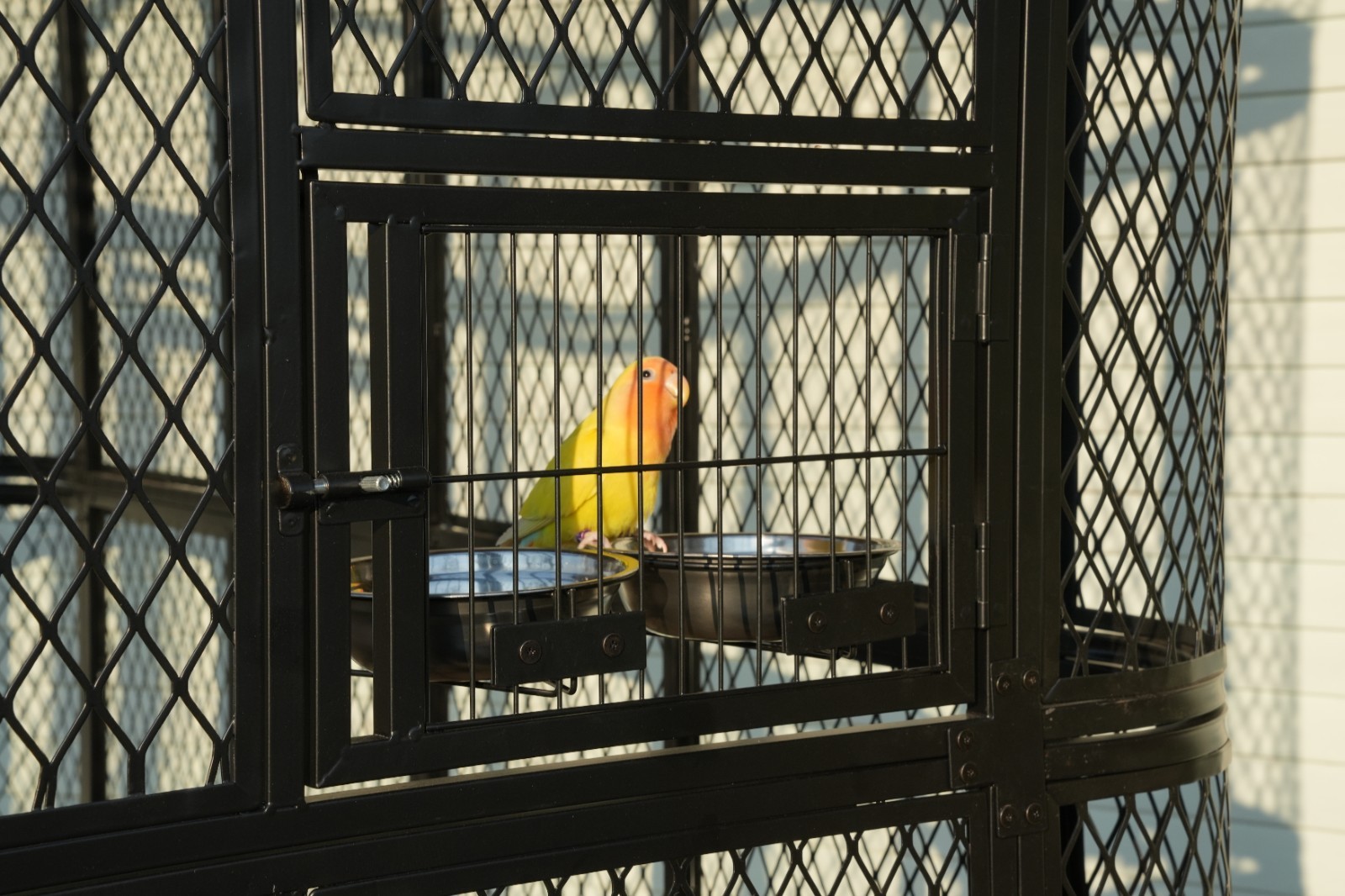 Extra Large Flight Metal Bird Cage Aviary Parrot Macaw Finch Tight Bar Spacing