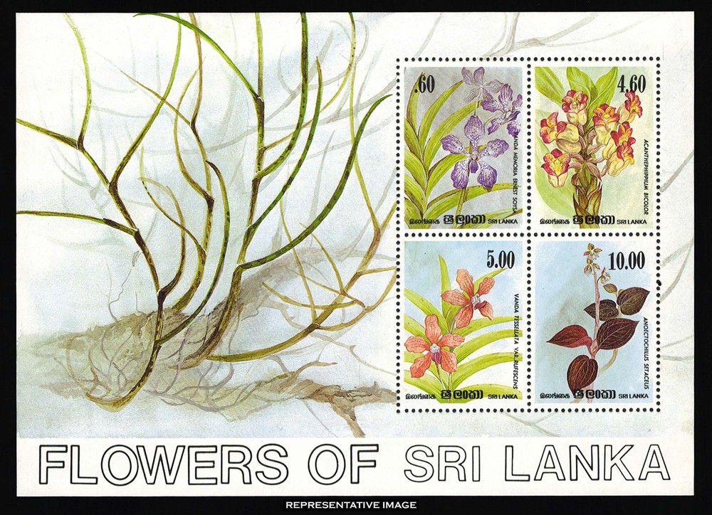 Sri Lanka Scott 725a Mint never hinged.