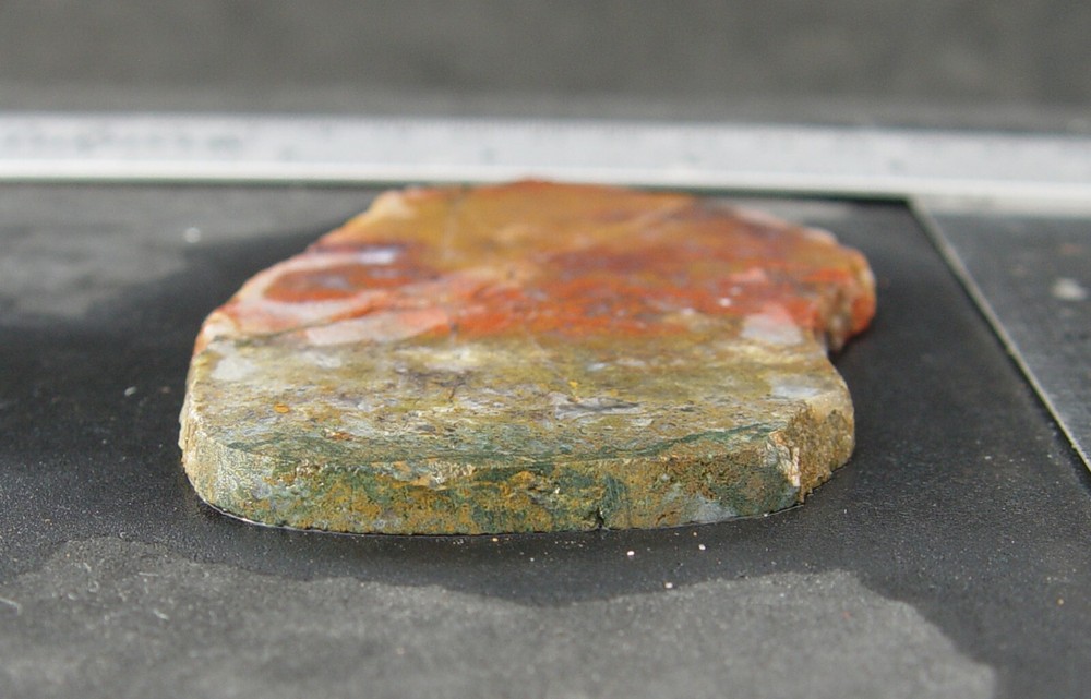 Macaw Agate from Mexico Lapidary Slab T826