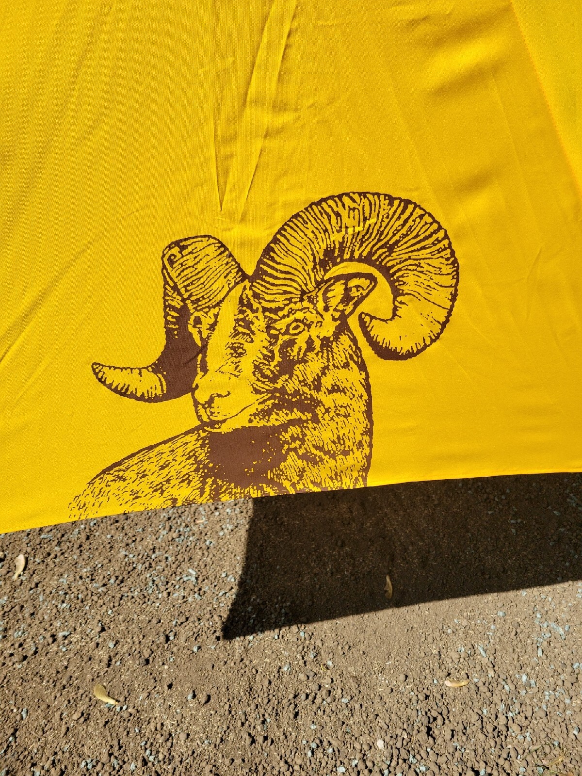 SHINER BEER BOCK PATIO DECK LARGE UMBRELLA BAR PUB RESTAURANT TEXAS STAR NEW