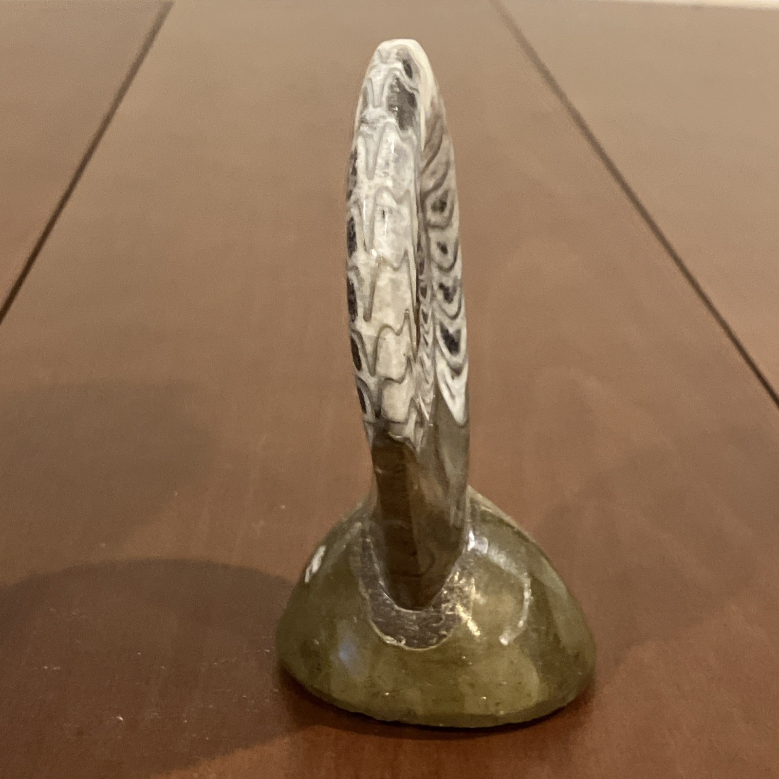 Polished Ammonite Fossil Cross Section Display Specimen w/ Stand