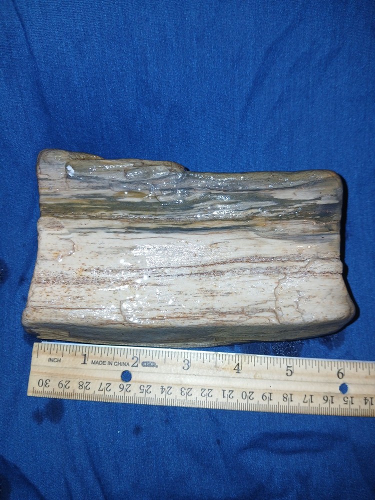 30 oz Petrified Wood