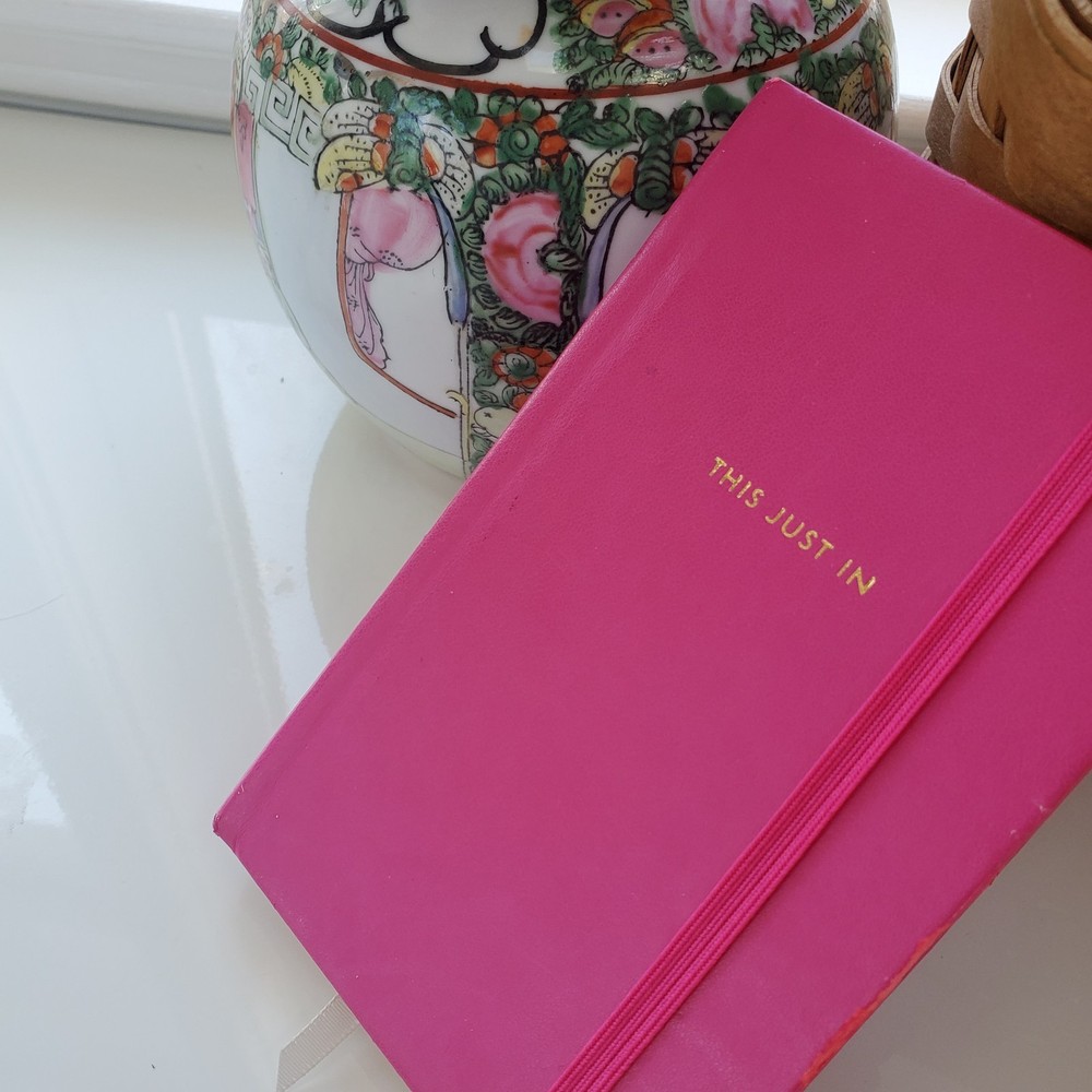 Kate Spade THIS JUST IN Lined Notebook Small Size Gold Edge Elastic Strap Damage