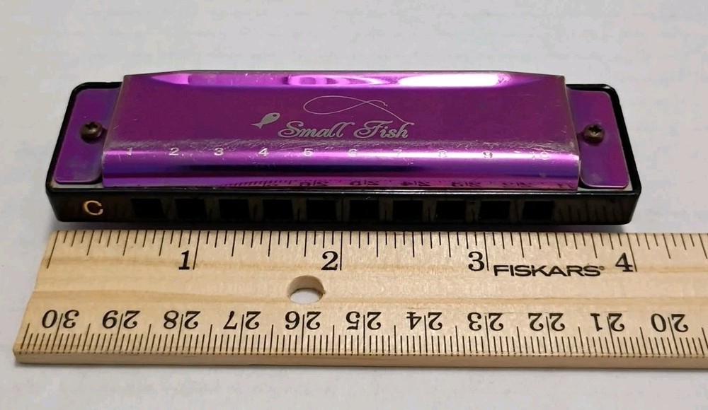 Small Fish Beginners Harmonica Harp 10 Hole Diatonic 10 Hole