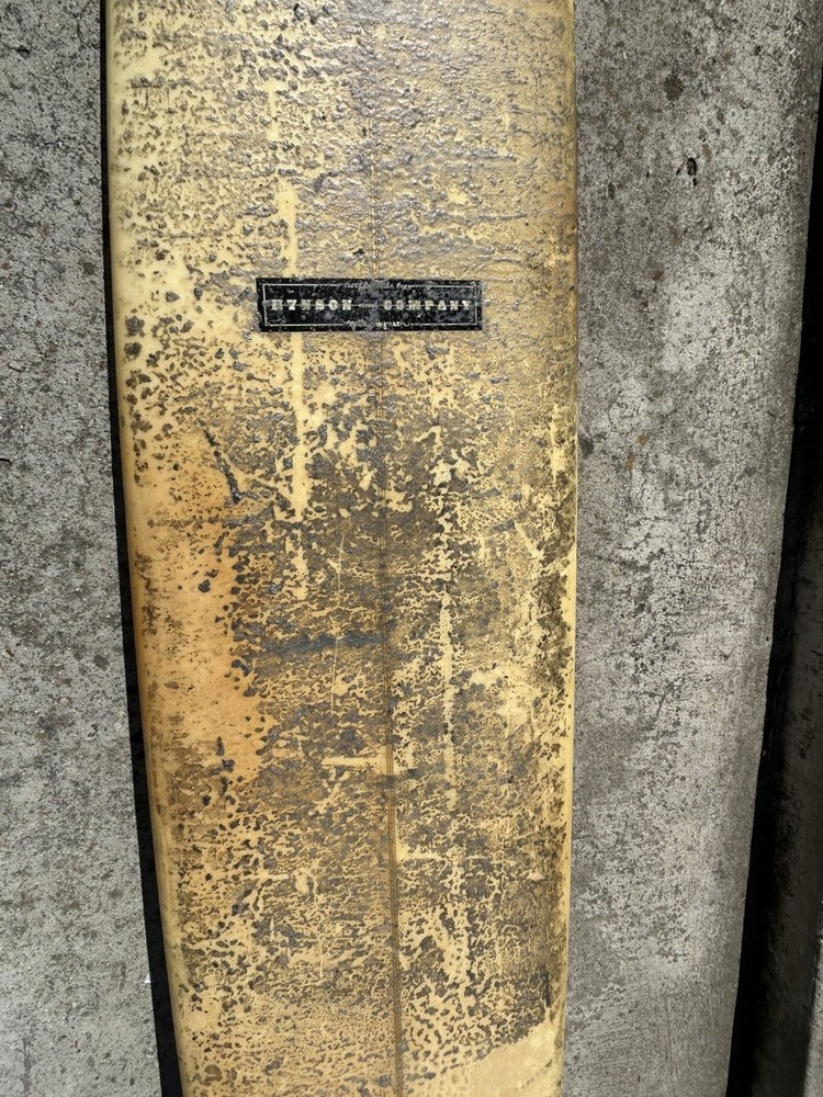 MIKE HYNSON Longboard- Cool