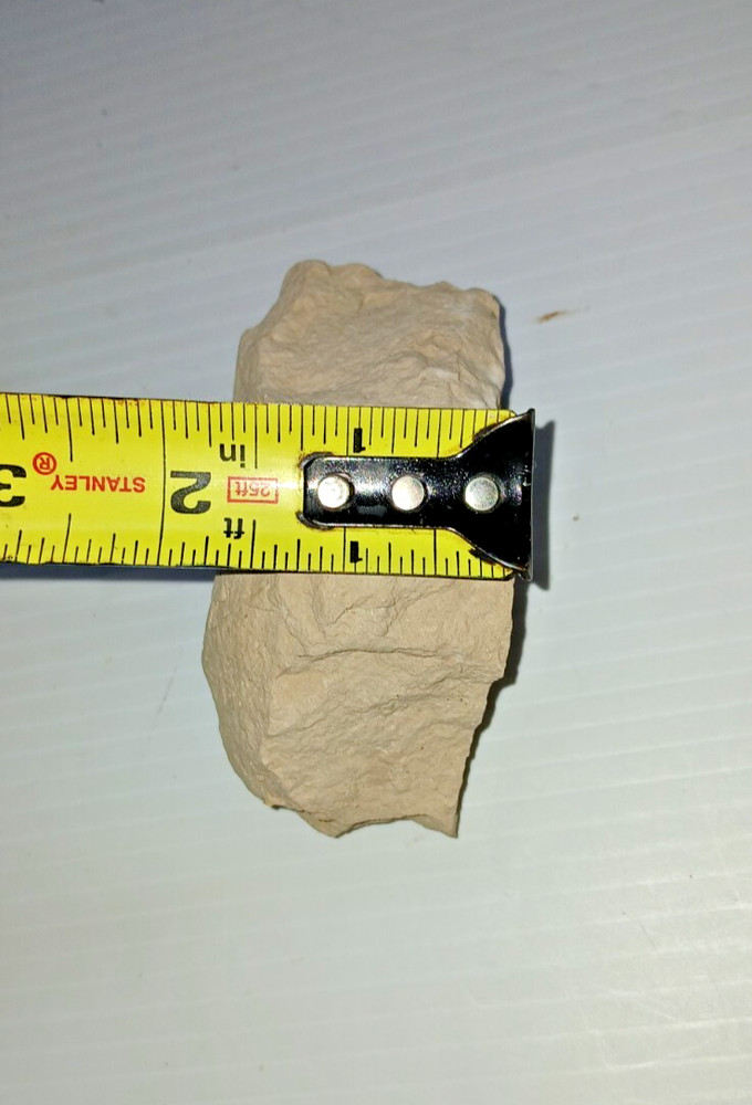 Turtle Egg Fossil?