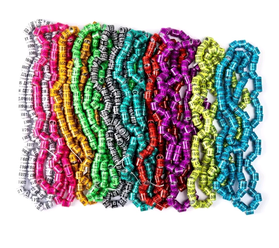 50Pcs Pigeon Ring 2026 Identification Rings Bird,10 Dif Color ANILLOS DE PALOMAS