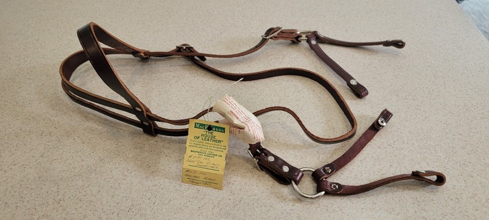 MacPherson Leather Horse Halter Band Headstall