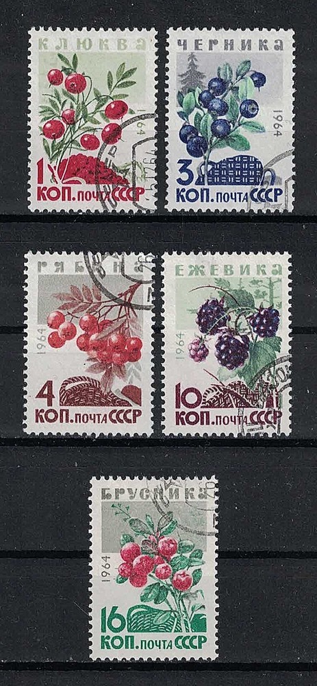 RUSSIA, USSR:1964 SC#2975-79-19(5) used Wild Berries