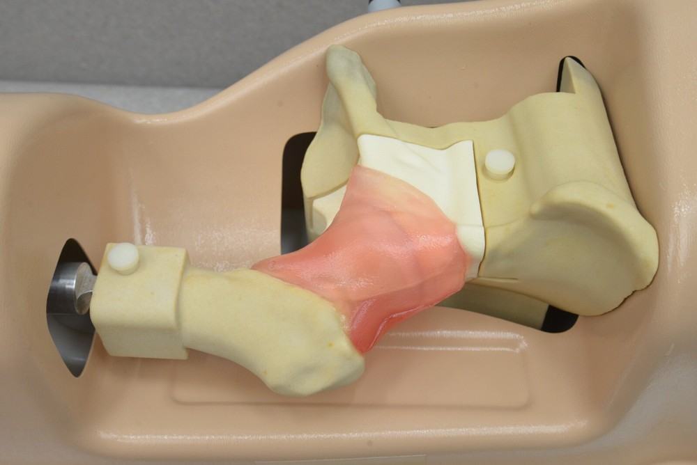 Chamberlain Group Hip Labrum Trainer 6005 W/ Case